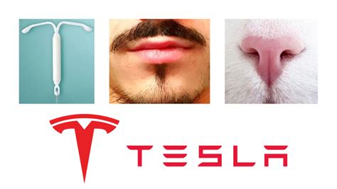 Logo Tesla Signification Et Histoire Du Symbole De La