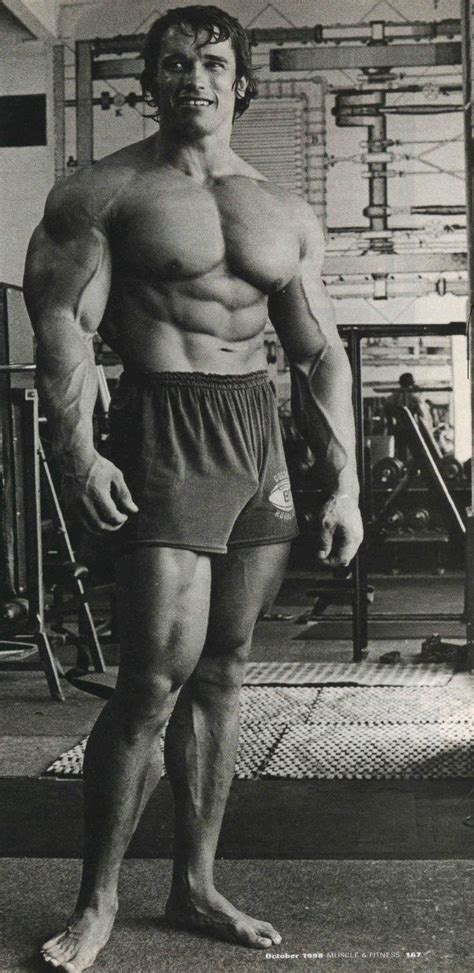 Arnold Schwarzenegger Mr Olympia 1970717273747581 Arnold