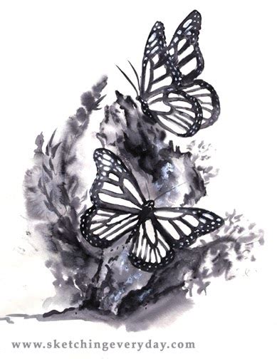 39 high quality collection of butterfly drawings in pencil by clipartmag. *Drawing Everyday*: Monarch Butterflies