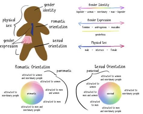 54 Best Visualizing Gender Identity Binaries Spectrums And More