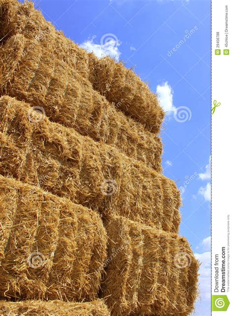 Haystack Stock Photo Image Of Farm Stacks Grain Field 29456788