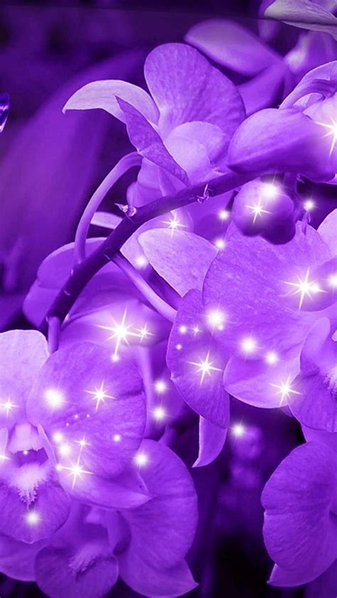 Purple Flower Backgrounds For Desktop
