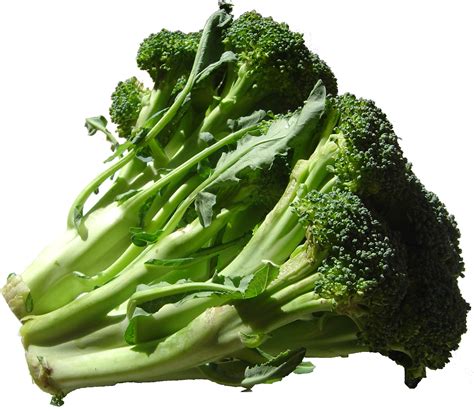 Broccoli Png