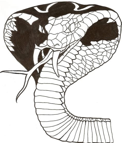 Imagenes De Cobras Para Dibujar