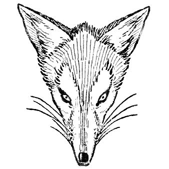In this tutorial i will show you how to draw a realistic fox step by step, without any reference. How to Draw Foxes Heads Easy Step by Step Drawing Tutorial ...
