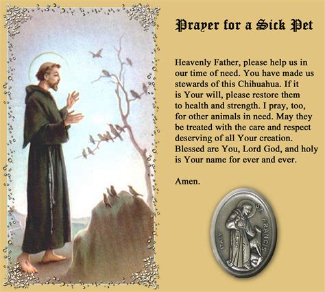 O god, every animal, in every forest, field, and home, belongs to you, and is under your loving care. sick dog prayer - DriverLayer Search Engine