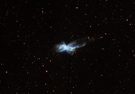 Bug Nebula Telescope Live