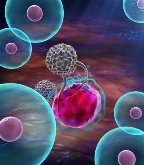 小细胞肺癌细胞免疫治疗小细胞肺癌nk细胞免疫疗法治疗全球肿瘤医生网
