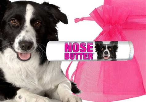 Border Collie Nose Butter Organic Treatment For By Theblissfuldog