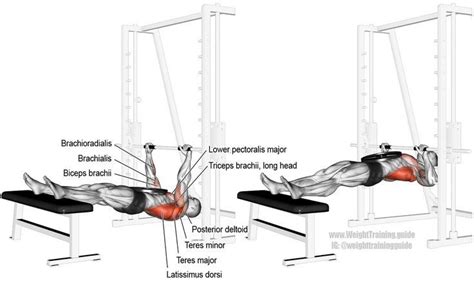 Weighted Inverted Row Exercise Guide And Video Weight Training Guide