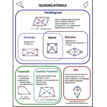 The lungs are found in the chest on the right and left side. Quadrilaterals Foldable with Cheat Sheet and Venn by Math ...