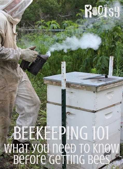 Learn What All Beginner Beekeepers Need To Know Before They Get Bees