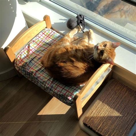 Cat Owners Turn Ikea Toy Furniture Into Adorable Pet Beds Ikea Doll Bed