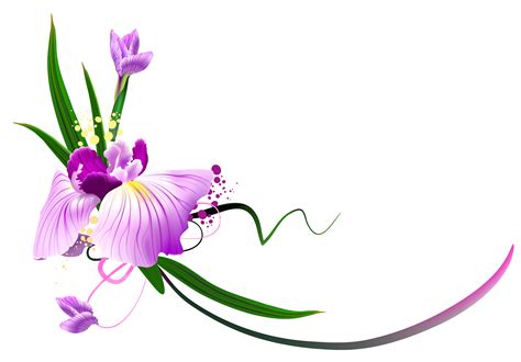 Flower Clipart Png Beautiful Pictures On Cliparts Pub 2020 🔝