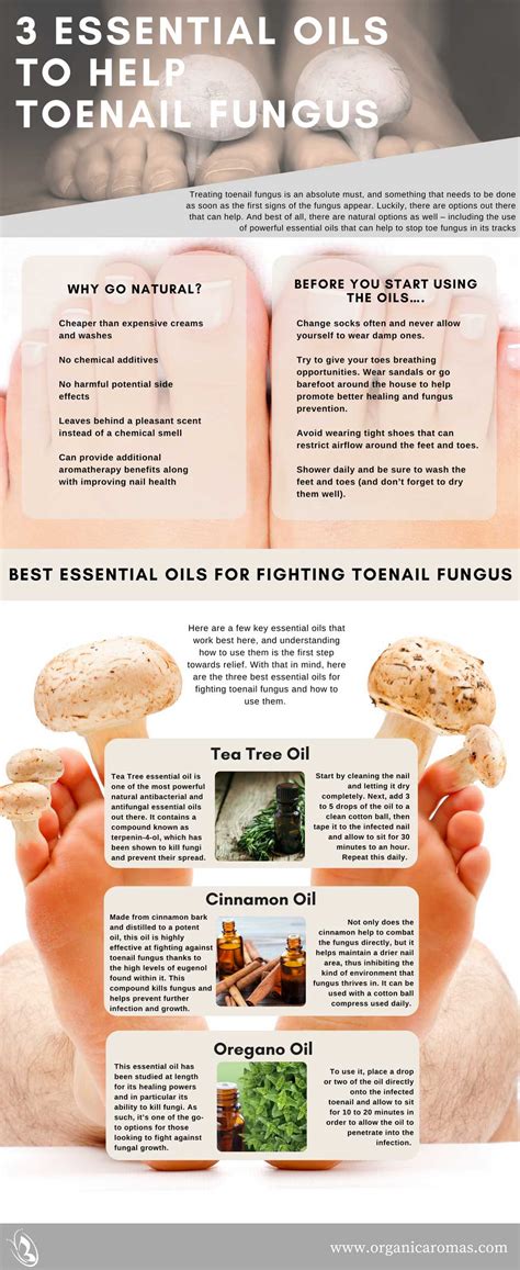 Essential Oils For Toenail Fungus All You Need Infos