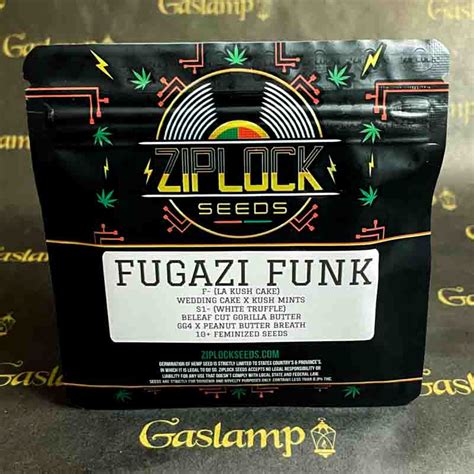Ziplock Seeds Fugazi Funk 10 Feminized Seeds Gaslamp Seeds