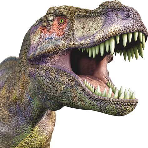 Download Dinosaur Png T Rex Head Transparent Background Hd