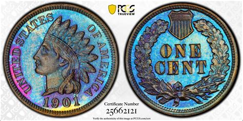 1901 1c Indian Cent Pcgs Pf66bn Toned The Penny Lady®