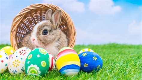 The Myth Of The Myth Of The Easter Bunny