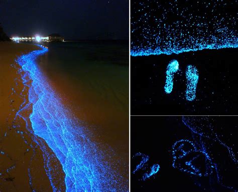 Glowing Sand In The Maldives The Maldives Are A