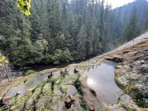 10 Best Hikes And Trails In Umpqua National Forest Alltrails