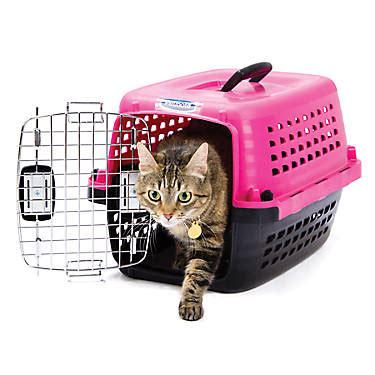 Last month, we discussed how to choose the right cat carrier for your cat, this month we talk about how to get your cat used to the cat carrier. Why Cat Carriers Are Must Have Items - Cat and Dog Lovers