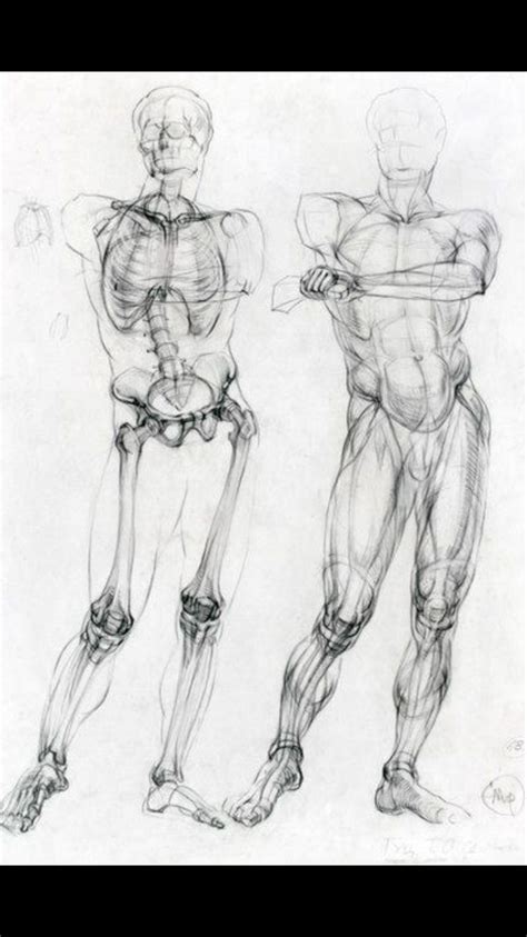 Pin By Kh On Art Human Figure Drawing Anatomy Sketches Human