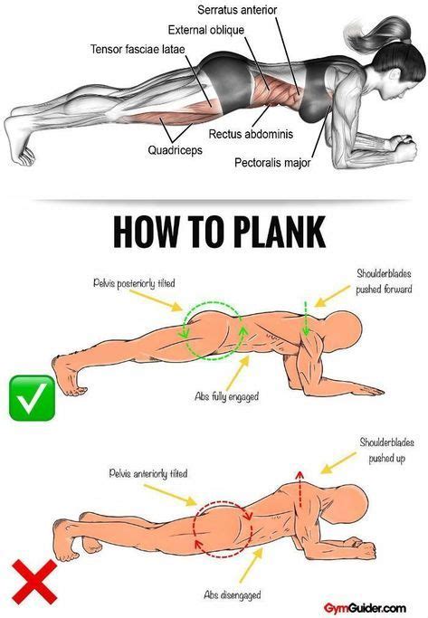 It strengthens abdominal and back muscles, particularly the transversus abdominis, rectus indirectly, you also use the hamstrings and glutes to stabilize the body. Rock Solid Abs & Core With These 11 Plank Variations ...