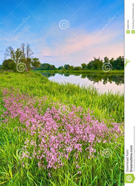 Flowers Countryside Spring Landscape Blue Sky River Stock Photo Image