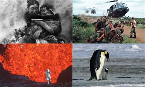 10 Best Documentaries Of All Time You Need To Watch