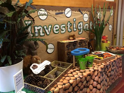Autumn Investigation Area … | Investigation area, Early years classroom, Science area
