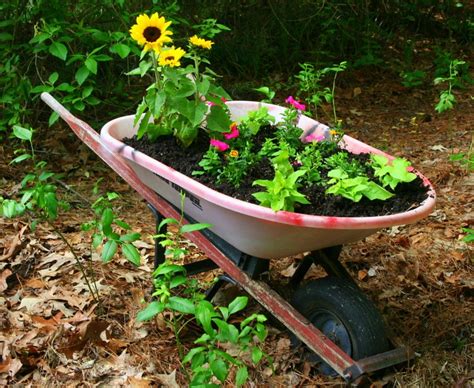 Our Old Broken Wheelbarrow Is Now A Beautiful Re Purposed Planter