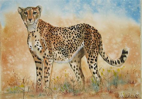 Cheetah Painting By Gina Hall Fine Art America