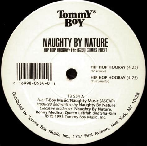 Naughty By Nature Hip Hop Hooray Vinyl Records Lp Cd On Cdandlp