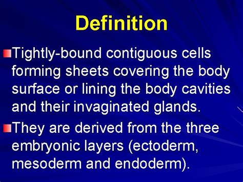 Epithelial Tissue Definition Tightlybound Contiguous Cells Forming Sheets