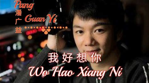 Wo Hao Xiang Ni 我好想你 Lyrics Pinyin Pang Guanyi 潘广益 Mandarin Song