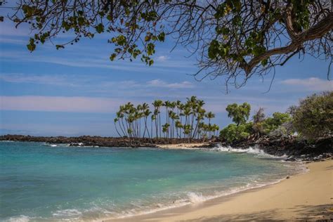 The 5 Best Beaches On The Big Island Hawaii Island Recovery