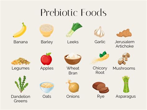 Prebiotic Foods For Gut Health Stephanie Kay Nutrition