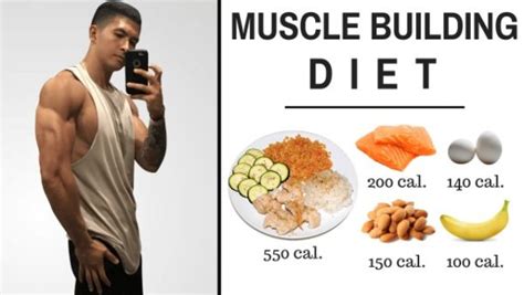 muscle building diet plan thumbnail