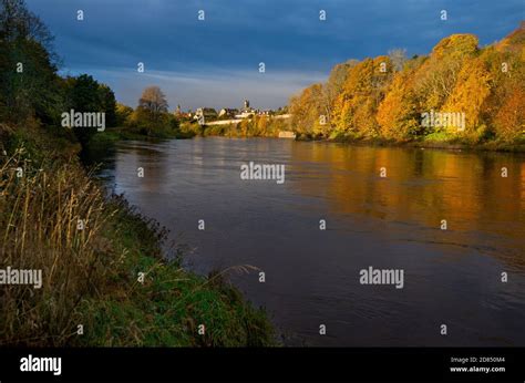 Autumn Colours At Coldstream Beside The River Tweed On The Scottish