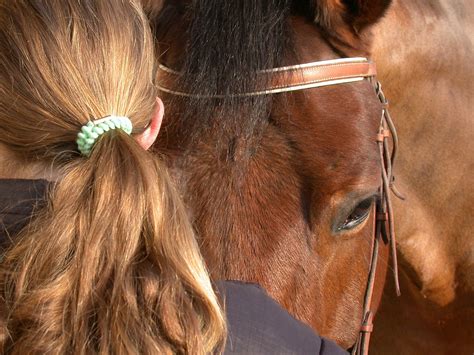 The Unspoken Bond Between Horse And Human Mirrormepr