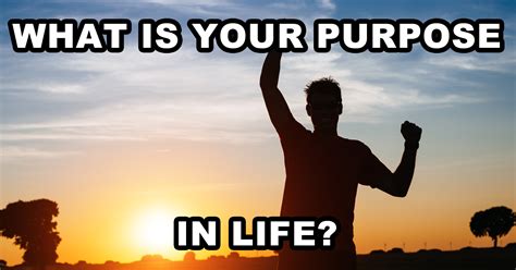 What Is Your Purpose In Life Quiz Life Purpose Life