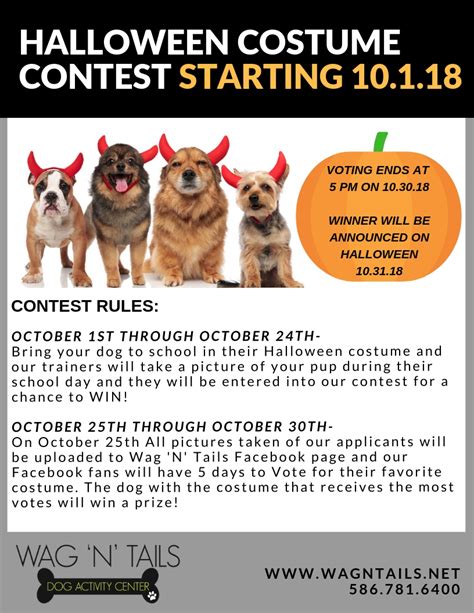 Halloween Costume Contest At Wag ‘n Tails