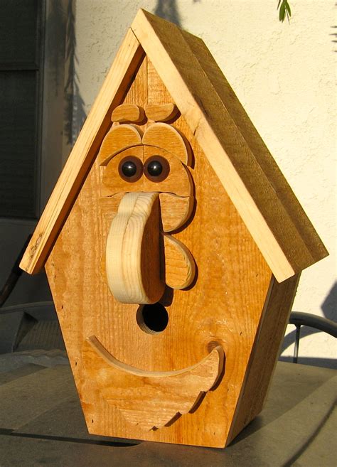 Building Funny Birdhouse Made By Alan