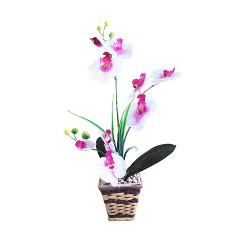 Only common local holidays are listed. Gambar Bunga Anggrek Bulan Hitam Putih - Koleksi Gambar Bunga