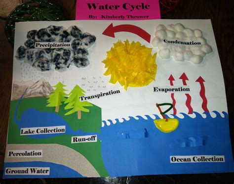 Pin By Patricia Thrower On School Stuff Water Cycle Water Cycle