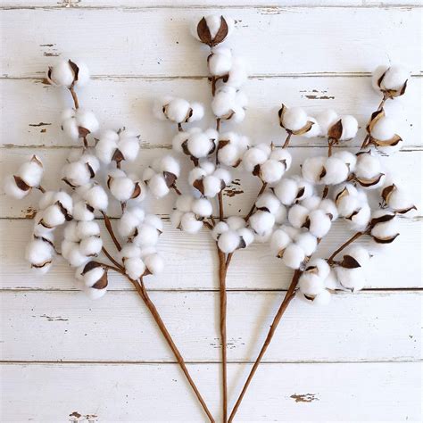 Wmaot Cotton Stems 30 Tall 13 Bollsstem Farmhouse Style Real