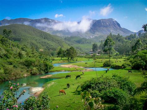Top 15 Must Visit Munnar Tourist Places Munnar Insider Travel Blog