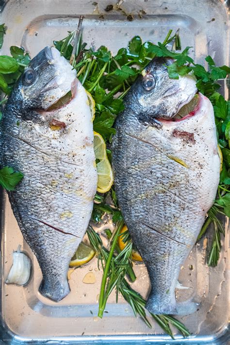 Mediterrane Dorade im Backofen zubereiten so gehts