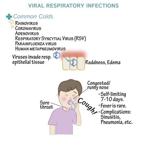 Pathology Glossary Viral Respiratory Infections Draw It To Know It